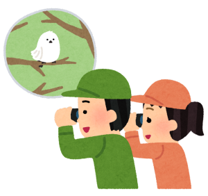 白い鳥を双眼鏡で見る緑の服の人と橙色の服の人